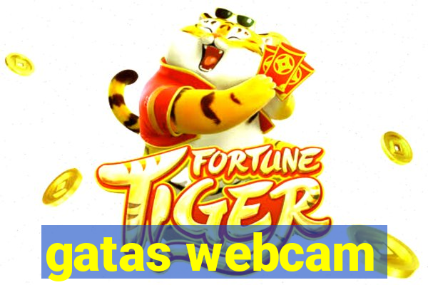 gatas webcam